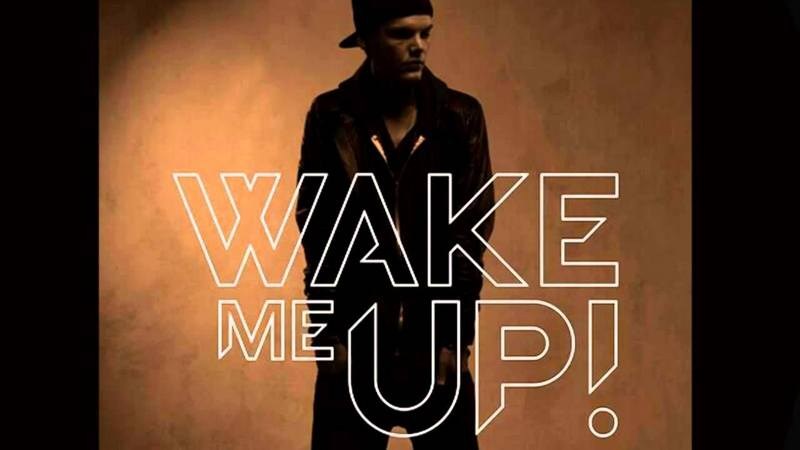 Avicii - Wake Me Up (2)