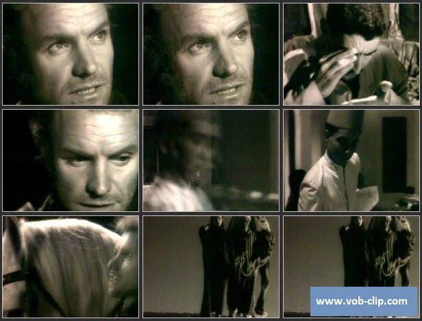 Sting - Mad about You