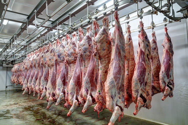 Abattoir