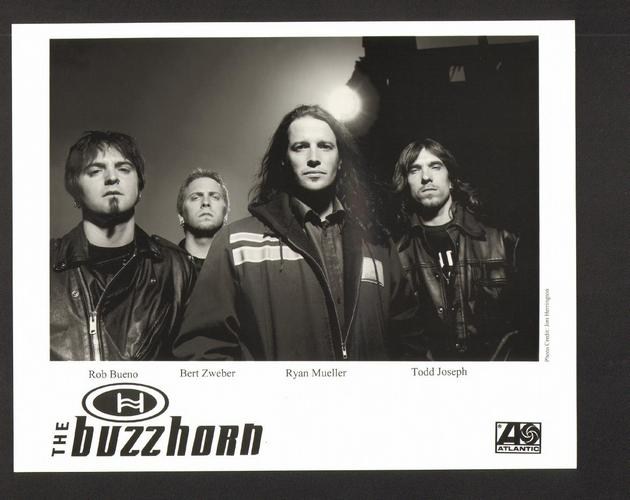 Buzzhorn, The - Ordinary