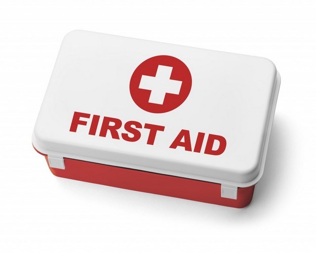 First Aid Kit - Lion's Roar