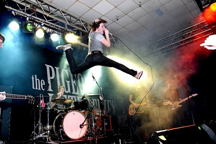 Pigeon Detectives, The