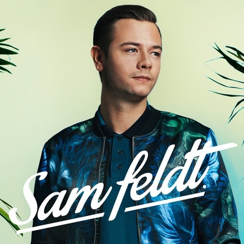 Sam Feldt - What about the Love